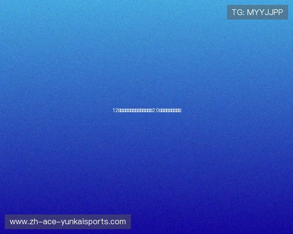 12年差口气现代索八，发变完美，2.0自动，喜欢的朋友来